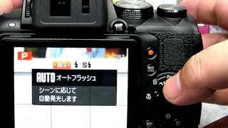 FinePix HS30EXR [upl. by Arabele]