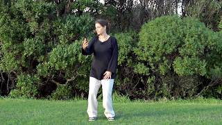 Qigong 5 Minutes a Day  Spinning the Silk Wheel  For Frozen Shoulder [upl. by Neahs]