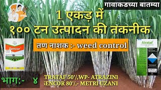 sugarcane cultivation weed control खरपतवार का खत्माsencor atrataf farming Technology [upl. by Adnawaj]