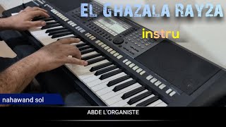 الغزاله رايقه أغنية مصرية جميلة El Ghazala Ray2a instrumental [upl. by Orazal]