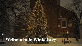 Weihnacht in Winkelsteg  Peter Rosegger [upl. by Narot]