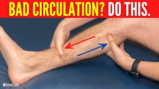 How to INSTANTLY Improve Leg Circulation and Blood Flow [upl. by Liponis]