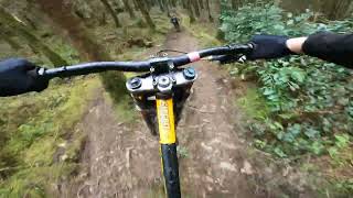 Bins 15🤯 Rostrevor MTB Northern Ireland🇮🇪 [upl. by Munt797]