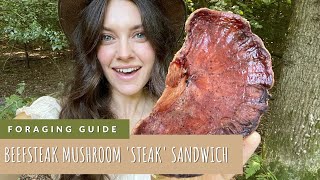 Beefsteak Mushrooms  Forage For Mushrooms  Make a Mushroom Steak Sandwich [upl. by Eirrol]