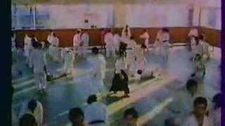 AIKIDO YOSHINKAN GOZO SHIODA [upl. by Mylan]