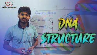 DNA structure Nitrogenous baseNucleoside Nucleotide explained in bangla Genetics basics [upl. by Nitsew]