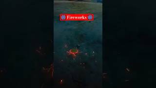 Diwali Fireworks 🎆🎇 shorts shortvideo fireworks diwalicelebration [upl. by Mab]