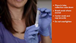 Fulgent COVID19 Nasal Swab Collection Instructions [upl. by Uzial]