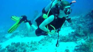 Diving Egypt 12 years old diver Nikodem in Sharm El Sheikh [upl. by Ahtivak]