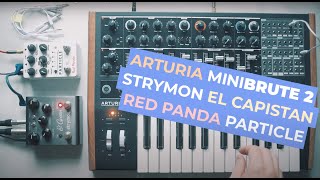 Arturia Minibrute 2 with Strymon El Capistan Red Panda Particle and Microcassette Dictaphone [upl. by Qifar123]