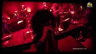 SHAKA PONK Hit West Live  Nantes 2014 [upl. by Latrell545]