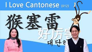 【중콘】  I Love Cantonese 012  쉽고 재미있는 광동어  好犀利  猴塞雷  好厉害 원숭이  广东话  粤语  대단해요  굉장하다  陈依诺 [upl. by Witkin72]