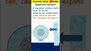 Hypotonic solution  045 Sodium Chloride 045 NaCl [upl. by Eanod]