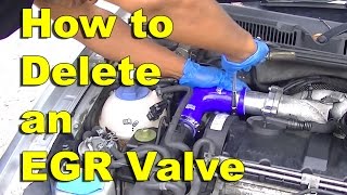 How to Delete an EGR Valve with a delete kit [upl. by Yekim]