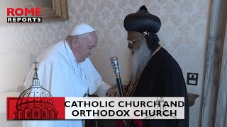 Catholic Church and Syro Malankara Orthodox Church continue to forge closer ties [upl. by Remark607]