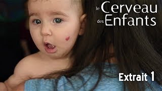 Le Cerveau des Enfants  Extait 01  VOST [upl. by Nadiya]