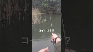 モンスター到来！ヌシだなコイツ shorts bassfishing バス釣り [upl. by Epperson]