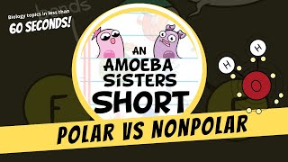 Polar vs Nonpolar  Amoeba Sisters Shorts [upl. by Latsirc]