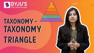 Taxonomy  Taxonomy Triangle  Learn with BYJUS [upl. by Aicirtal]