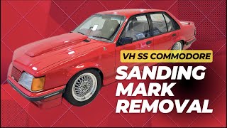 REMOVING SANDING MARKS  VH SS COMMODORE [upl. by Beryle209]