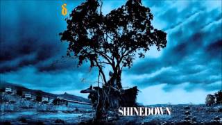 Shinedown  45 [upl. by Constantia388]