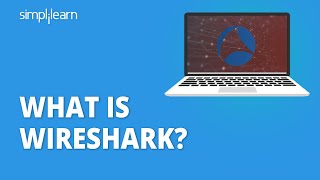 What Is Wireshark  What Is Wireshark And How It Works  Wireshark Tutorial 2021  Simplilearn [upl. by Apeed]