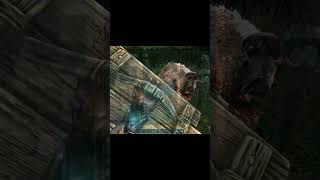 kill ovis by rocket arksurvivalevolved gamingcamera survive100dayarkmobile arkday1 [upl. by Ballard254]