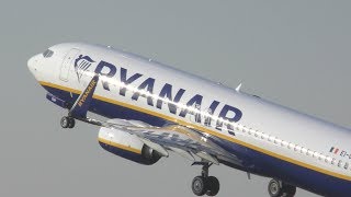 4K Ryanair 737800 LandingTakeoff Compilation EDLV [upl. by Dionis677]