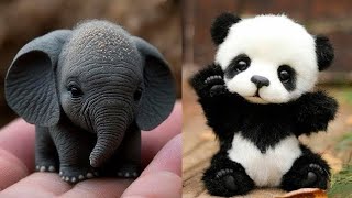 Cute Baby Animals Videos Compilation  Funny and Cute Moment of the Animals  Cutest Animals [upl. by Etnoved]