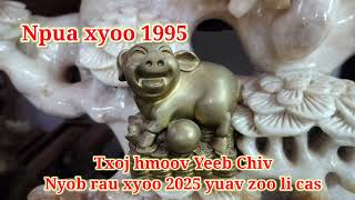 Saib hmoov Npua Xyoo 1995 yuav tau ceev faj li cas 2025 [upl. by Ilenay]