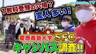 ハズレ学部とは言わせない！慶應義塾大学 湘南藤沢キャンパス調査！【wakatte TV】720 [upl. by Einaeg]