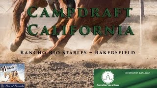 Campdraft California [upl. by Eniretac207]