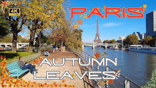 4K Leaves amp Colors of Paris in Autumn 🍁 A Romantic Walk Through Foliage and Hidden Treasures [upl. by Wanyen]