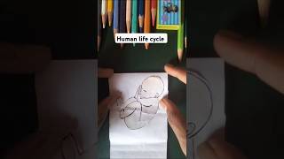 Human life cycle art shorts drawing [upl. by Arrimat]