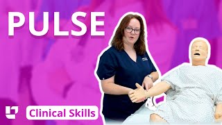 Pulse  Clinical Skills  LevelUpRN [upl. by Renata]