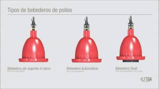 Bebedero para pollos [upl. by Urban498]