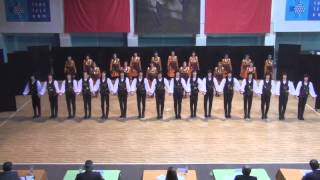 Turkish Folk Dances  HORON [upl. by Nasah315]