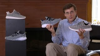 adidas Alphabounce amp Yeezy Boost 350 Turtledove Review  Comparison [upl. by Irpak]