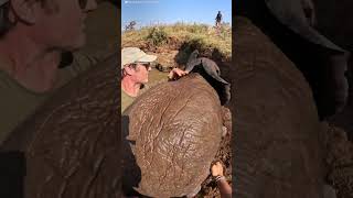 Baby Elephant And Mom Are Stuck In A Well Full Of Water  The Dodo [upl. by Seeto]