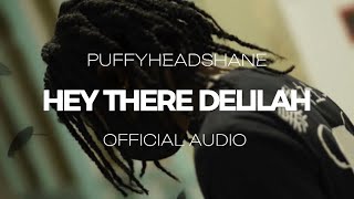 PuffyHeadShane  Hey There Delilah Official Audio [upl. by Osnofla]