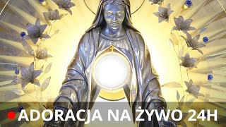 EWTN Polska  Adoracja z Niepokalanowa [upl. by Buchanan]