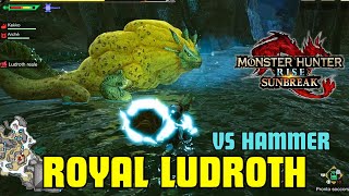 ROYAL LUDROTH  First try in HR  Monster Hunter Rise [upl. by Slin167]