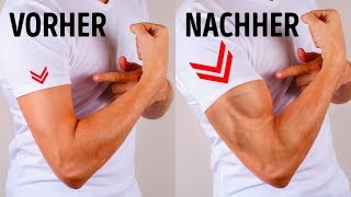 6 einfache Übungen für muskulösere Arme ohne Fitnesscenter [upl. by Enneles639]