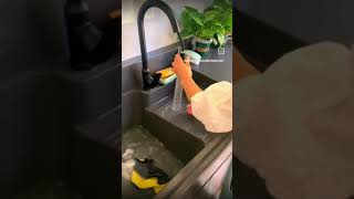 Balcony laundry design Balcony interior trending shortsfeed feedreels ytshorts reels ytshorts [upl. by Trinidad]