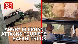 ANGRY ELEPHANT ATTACKS TOURIST TRUCK [upl. by Malinin151]