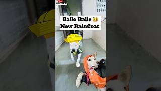 Balle Balle New RainCoat 🥳  minivlog [upl. by Lilybel184]