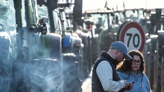 Crise agricole  à la ferme une organisation au cordeau entre travail et manifestation [upl. by Stockton576]