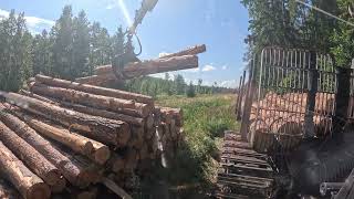 John Deere 1010G Unloading pine sawlogs [upl. by Staffan]