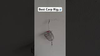 The Ultimate Carp Fishing Rig Guide [upl. by Dewar768]