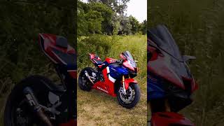 Honda CBR 1000RR R Fireblade 🔥 SC Project exhaust 🔥 shorts shortvideo viral trending bike [upl. by Bernt496]